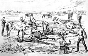 Dead horse valley, 1874