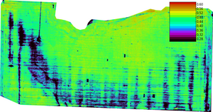 DroneMapper Processed NDVI 4cm GSD