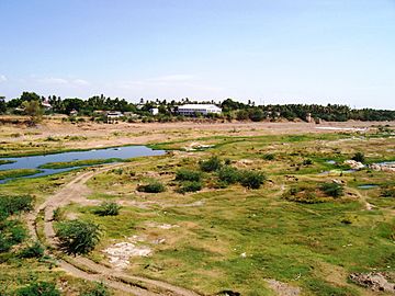 Dry-Amaravathi-at-Karur