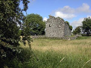 Edingham Castle - geograph.org.uk - 906438