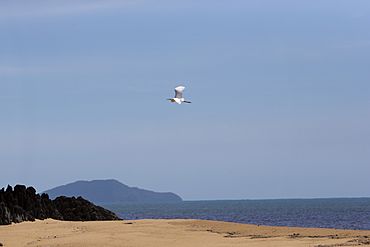 Egret at east russell 2 (8666801593).jpg