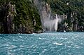 Fiordland National Park NZ FZ200 (14303138684)