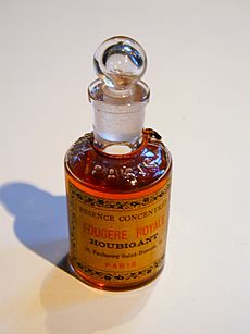 Fougère Royale by Paul Parquet - Bottle