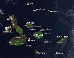 Satellite photo of the Galapagos islands