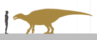 Gilmoreosaurus size.png