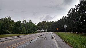 Highway 361 near Davidsonville Historic State Park
