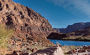 Hiking Trail Along The Colorado River At Lees Ferry, AZ