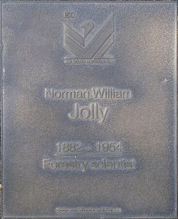 J150W-Jolly