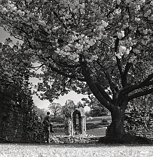 KIRHAM ABBEY RUIN 1971