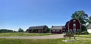 Knox Farm State Park, Town of Aurora, New York - 20190723