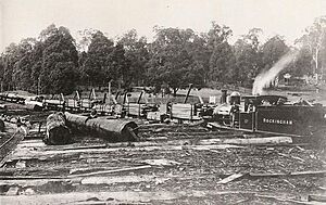 Locomotive Rockingham shunting wagons at Jarrahdale yard