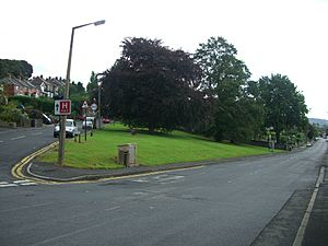 Loxley village green