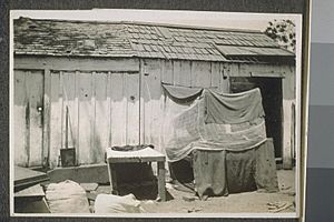 Makeshift shelter for Indian farm laborers in California