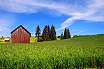 Meier Road Barn (Washington County, Oregon scenic images) (washDA0034).jpg