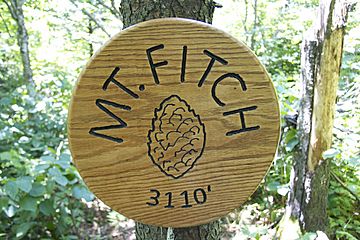 Mount Fitch (Massachusetts) summit sign.jpg