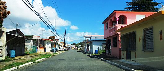 Naguabo IMG 1693