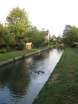 New River Bowes Park