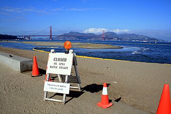 Oil spill in san francisc bay 1