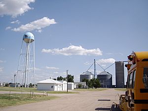 Water tower and grain storage facilities (2008)