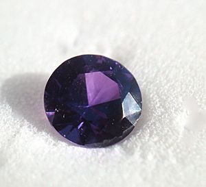 PurpleY6Br