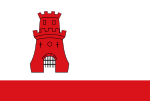 Rijnsburg vlag