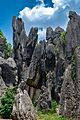 Shilin, Yunnan 24698