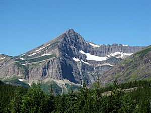 Swiftcurrent Mountain