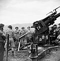 The British Army in Tunisia 1943 NA2379