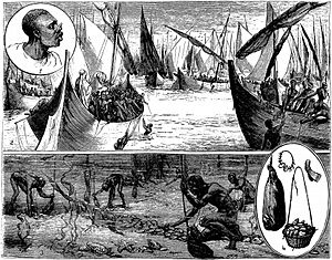 The Pearl Fishery in the Persian Gulf - The Graphic 1881