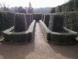 The Yew Garden at Belsay Hall - geograph.org.uk - 1172218