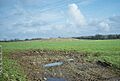 Tumulus near Ston Easton - geograph.org.uk - 126743