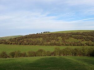 Varncombe Hill - geograph.org.uk - 1640421