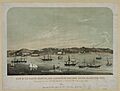 View of the marine hospital and quarantine grounds, Staten Island, New York LCCN2003681600