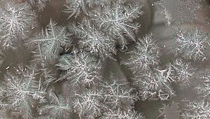 Water Crystals on Mercury 20Feb2010 CU1