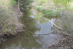 West Branch Briar Creek