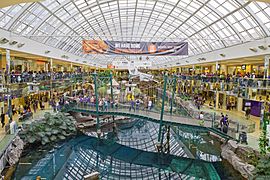 Dr martens west edmonton mall store