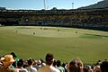 Westpac Stadium Cricket luving Crowd
