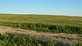 William Cather homestead site from N 2