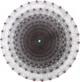 Witting polytope