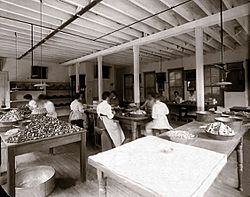 Women working at Brandreth Pill Factory, Ossining, NY, around 1900