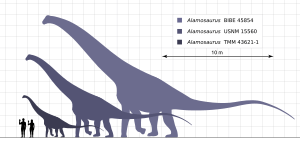 Alamosaurus Scale Chart Steveoc
