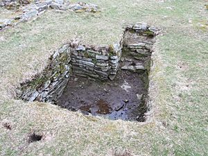 Ambleside Roman Fort, Cumbria 05