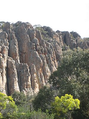 Arapiles Organ Pipes