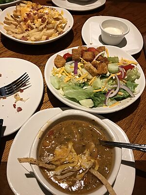 Aussie Cheese Fries, Chicken Tortilla Soup, House Salad, Outback Steakhouse