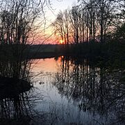 Avondrood in Maas & Waal -sundowner (25747137444)