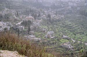 Batir