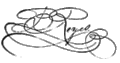Bernardo Reyes signature