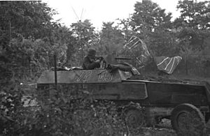 Bundesarchiv Bild 101II-M2KBK-771-29, Arnheim, Schützenpanzer im Einsatz