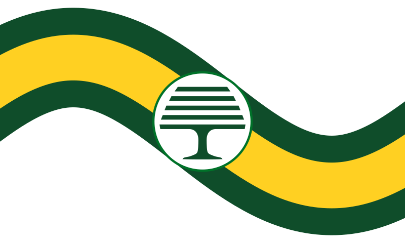 Caterham village flag