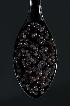 Caviar on Black (4317534324)